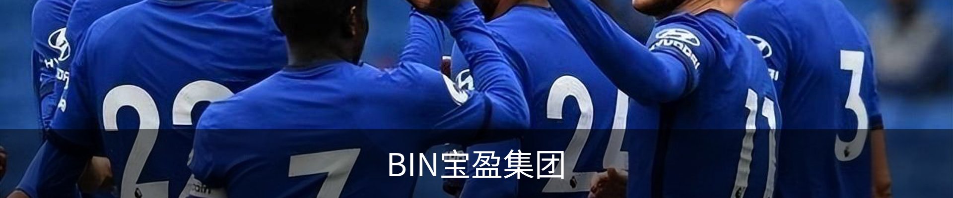 BIN宝盈集团